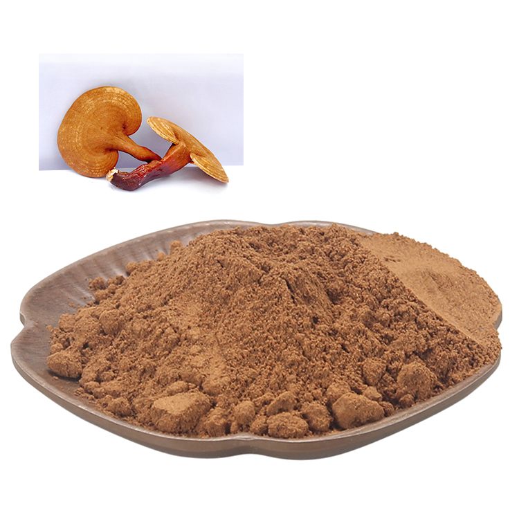 Reishi and Adaptogens: The Ultimate Stress Support